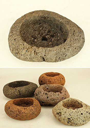 Amazon | いよじ園 【盆栽鉢】 桜島産 付石 軽石 （中サイズ） | 鉢